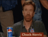 chucknorris-approves.gif